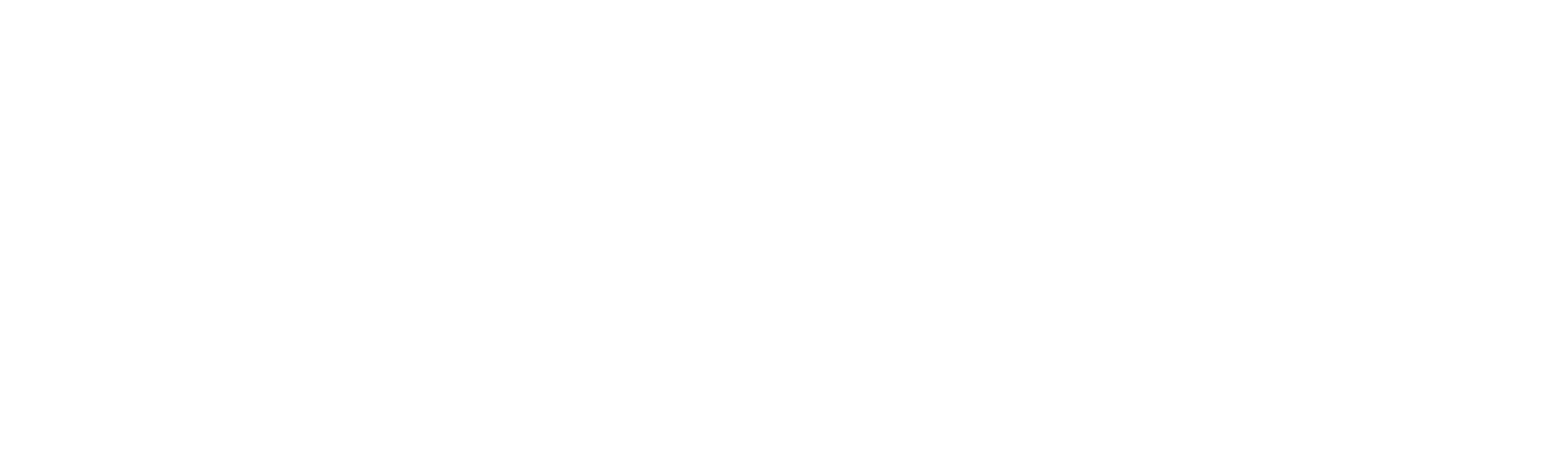 footer-logo